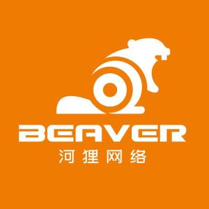 佛山市河貍網(wǎng)絡科技