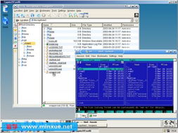 CygwinEasy2007光盤運(yùn)行版與Cygwin Release 2006 回顧經(jīng)典Windows軟件開發(fā)與運(yùn)行平臺(tái)服務(wù)